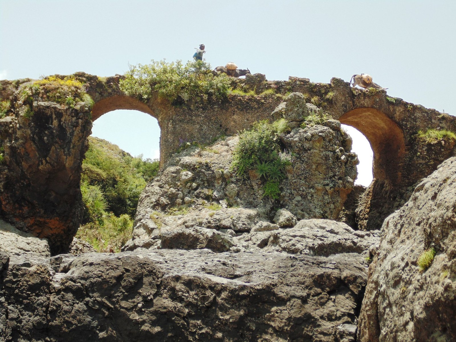 ebre Libanos Monastery & Portuguese Bridge Day Trip