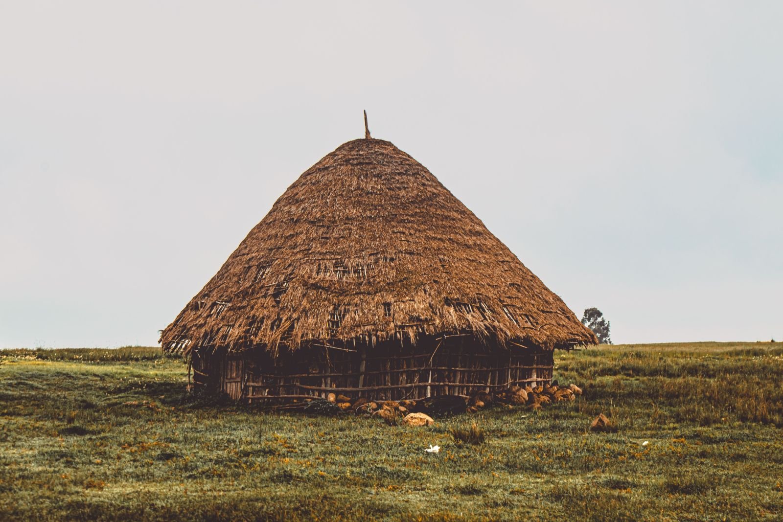 Best Time to Visit Ethiopia: A Month-by-Month Guide